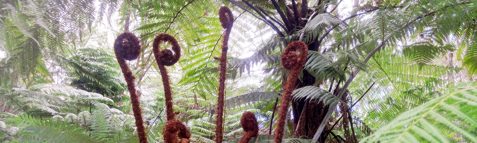 BVT-Zertifikats-Weiterbildung „Trauerbegleitung“ beim RBM-Institut München